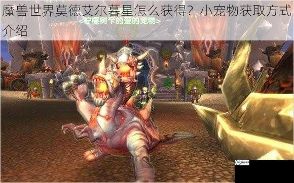 魔兽世界莫德艾尔暮星怎么获得？小宠物获取方式介绍