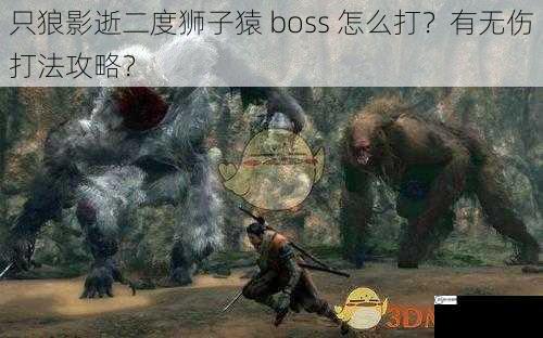 只狼影逝二度狮子猿 boss 怎么打？有无伤打法攻略？