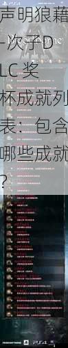 声明狼藉-次子DLC 奖杯成就列表：包含哪些成就？