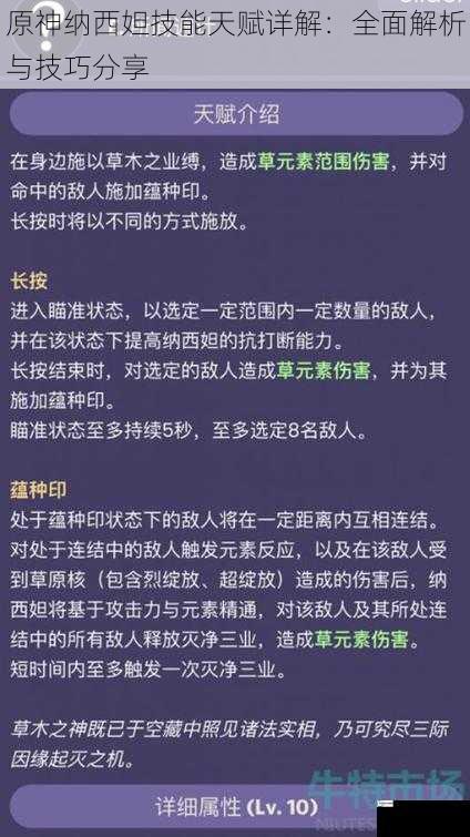 原神纳西妲技能天赋详解：全面解析与技巧分享