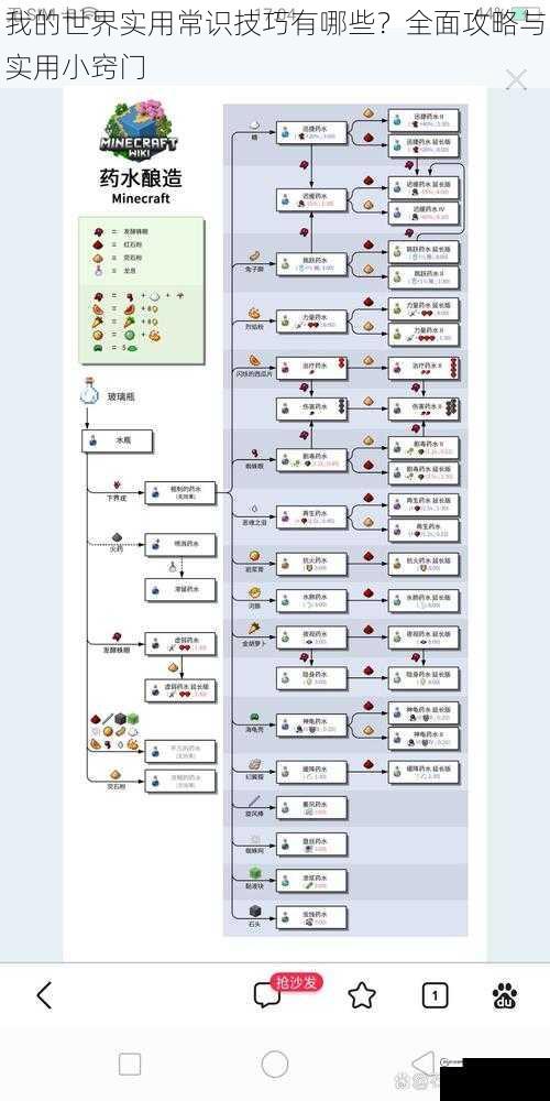 我的世界实用常识技巧有哪些？全面攻略与实用小窍门
