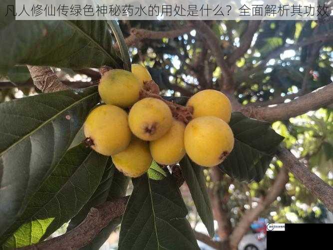 凡人修仙传绿色神秘药水的用处是什么？全面解析其功效