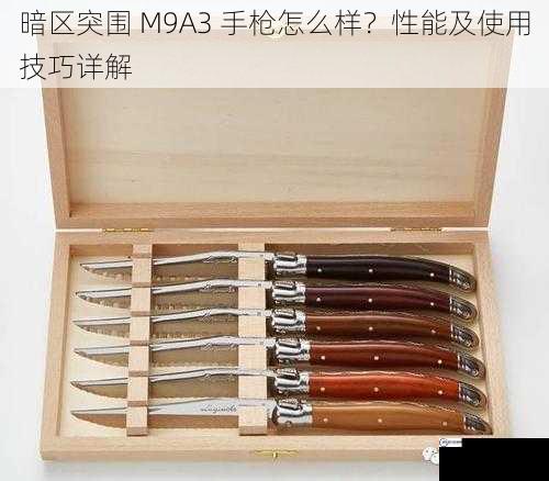 暗区突围 M9A3 手枪怎么样？性能及使用技巧详解