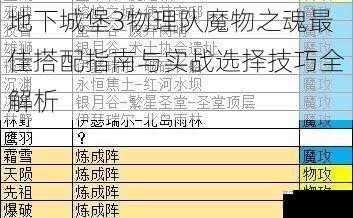 地下城堡3物理队魔物之魂最佳搭配指南与实战选择技巧全解析