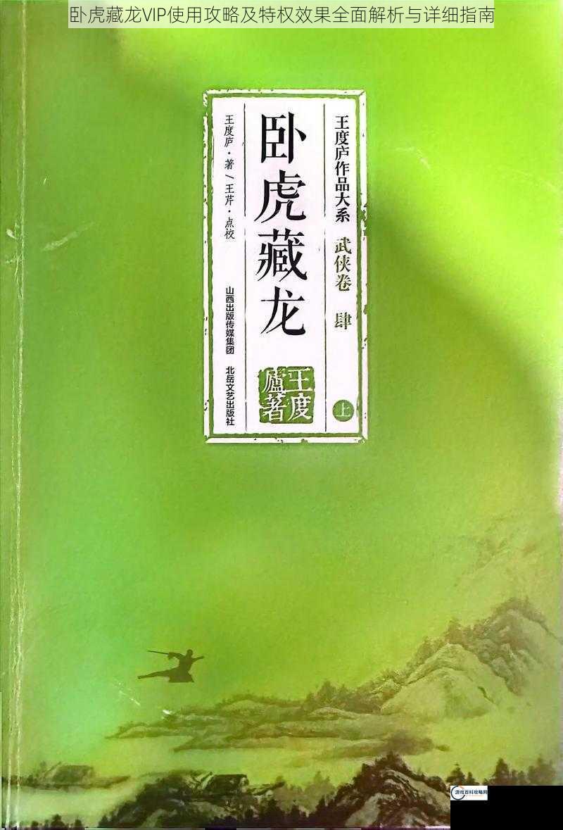 卧虎藏龙VIP使用攻略及特权效果全面解析与详细指南